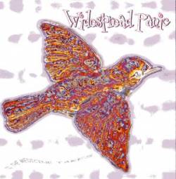 Widespread Panic : 'Til the Medicine Takes
